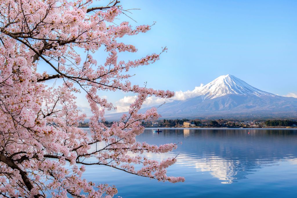 japan travel requirements