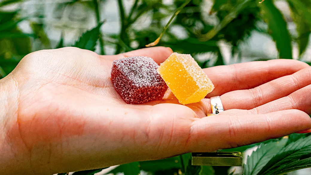 Are HHC Gummies Suitable for Children?