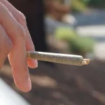 Unlocking the Potential: An All-Inclusive Handbook for Delta-8 THC Pre-Rolls