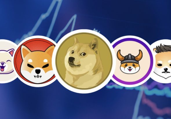 Understanding The Role Of Meme Coin In the Broader Crypto Ecosystem